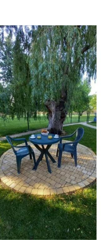 Logement Lumineux, Entierement Renove Avec Jardin Caumont-sur-Durance 외부 사진